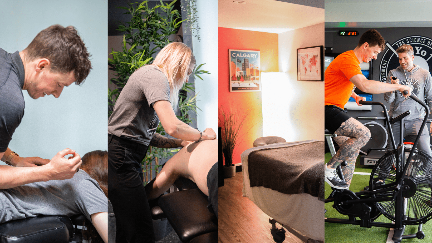 Chiro, Physio, Massage Therapy, and Personal Training