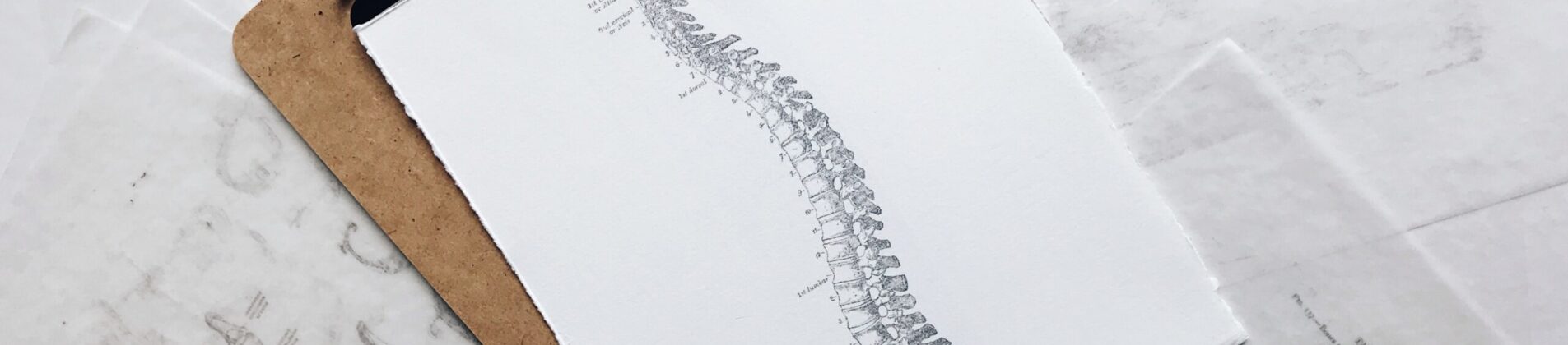 What Is The Path To Becoming A Chiropractor?