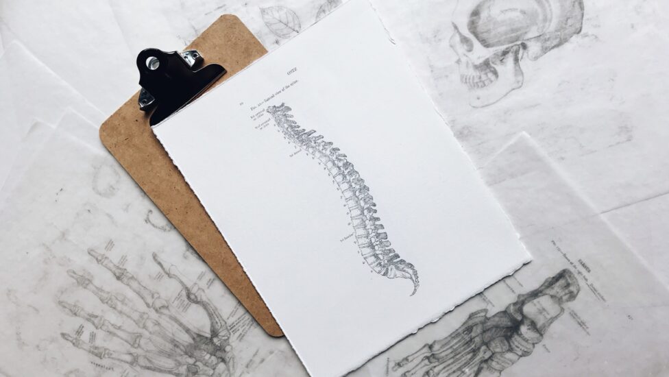 What Is The Path To Becoming A Chiropractor?