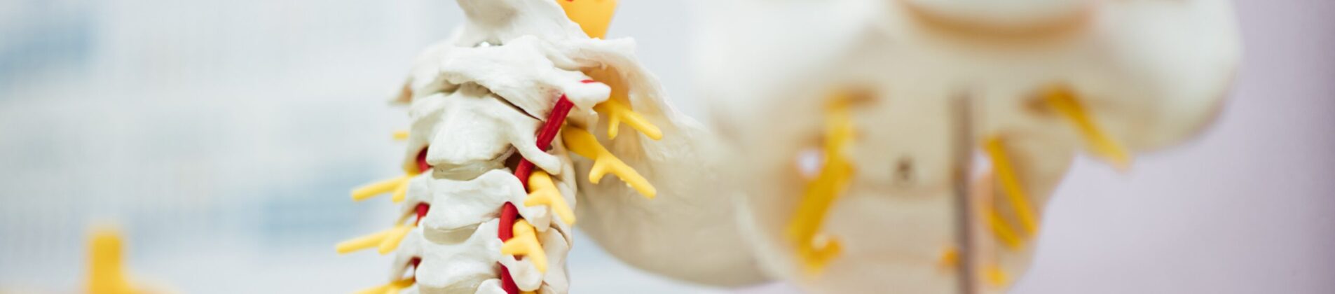 Why Did I Become A Chiropractor?