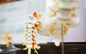 Why Did I Become A Chiropractor?