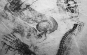 Why I Chose To Become A Chiropractor