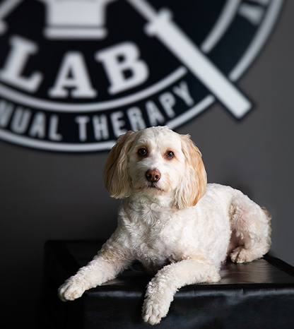 Indie Lewis Schwindt